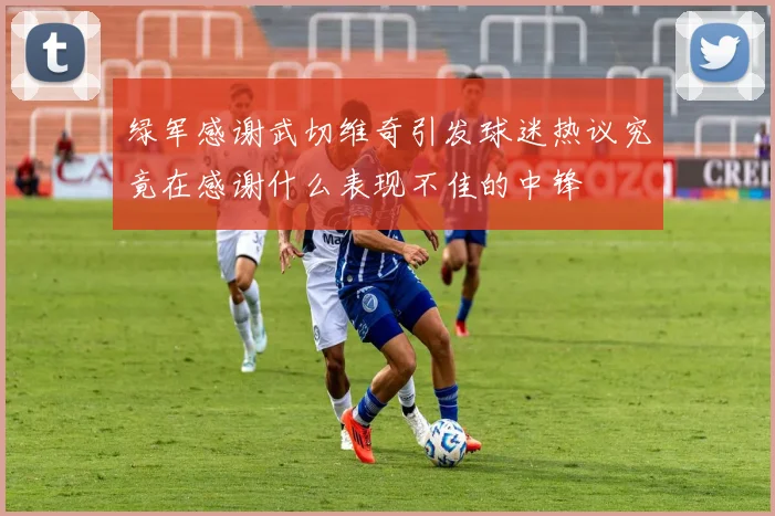 绿军感谢武切维奇引发球迷热议究竟在感谢什么表现不佳的中锋